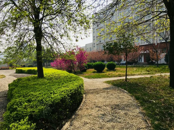 Jardín Parque — Foto de Stock