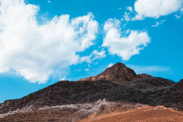 Sopečná Krajina Horách Tenerife Kanárské Ostrovy Španělsko — Stock fotografie