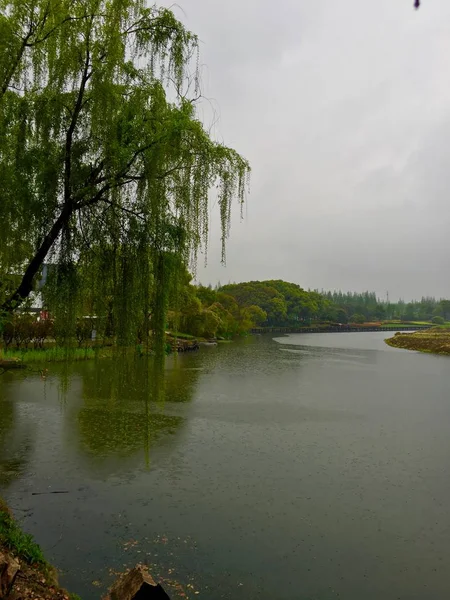 Hermoso Paisaje Con Río Fondo — Foto de Stock