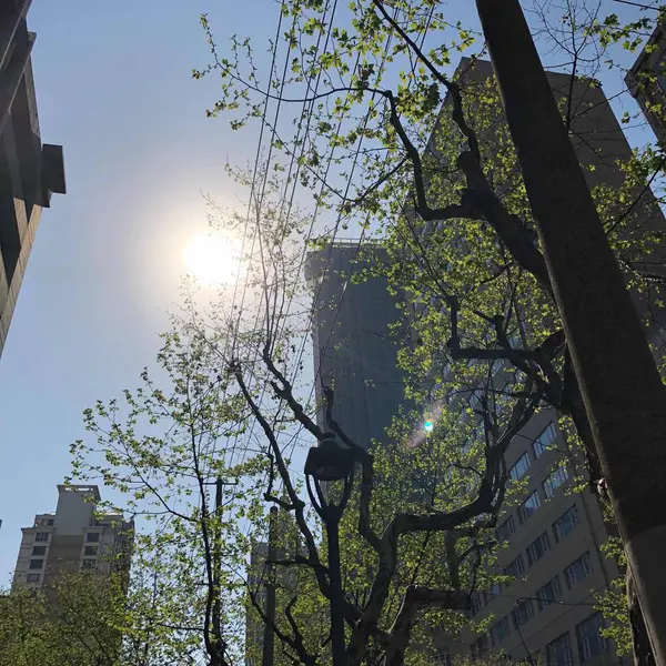 Vista Ciudad Barcelona — Foto de Stock