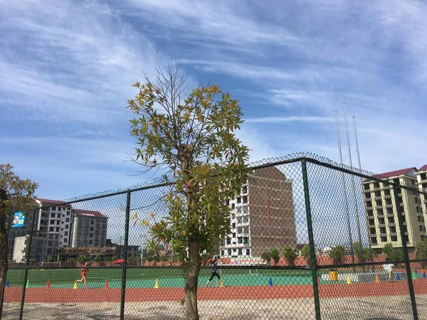 Parque Los Países Bajos — Foto de Stock