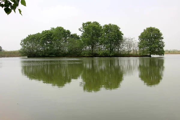 Estanque Parque — Foto de Stock