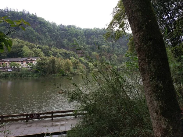 Vista Del Fiume Nel Parco — Foto Stock