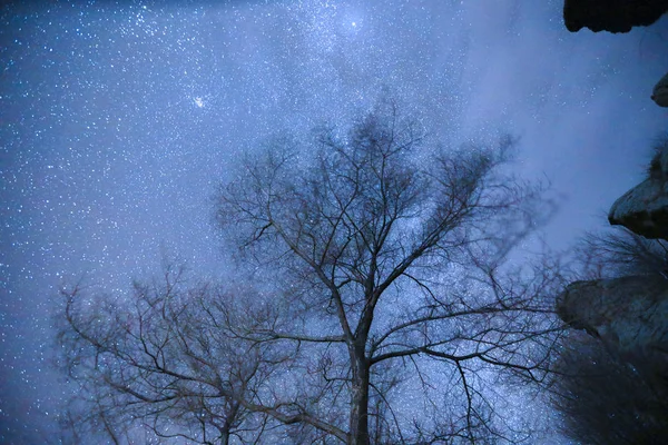 Cielo Nocturno Estrellado Fondo Con Estrellas — Foto de Stock