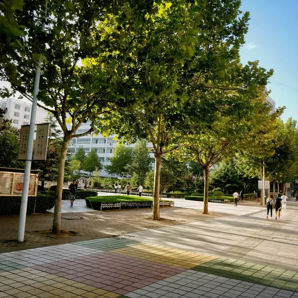 Hermoso Paisaje Del Parque Ciudad — Foto de Stock