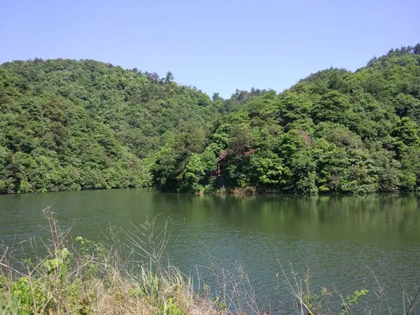 Naturaleza Con Árboles Río — Foto de Stock
