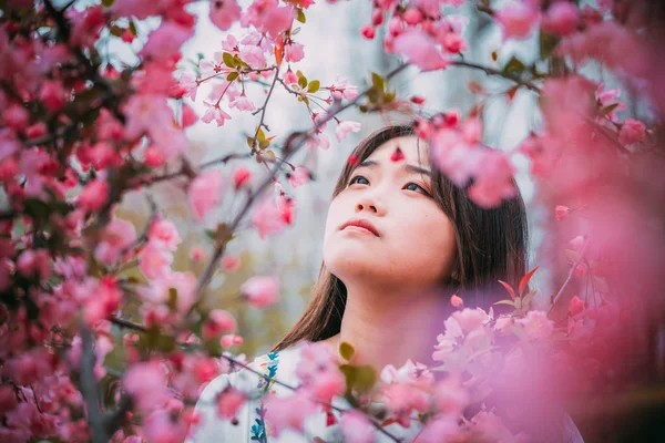 Красивая Азиатка Позирует Весеннем Саду — стоковое фото