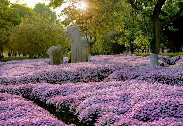 Hermoso Paisaje Naturaleza Fondo —  Fotos de Stock