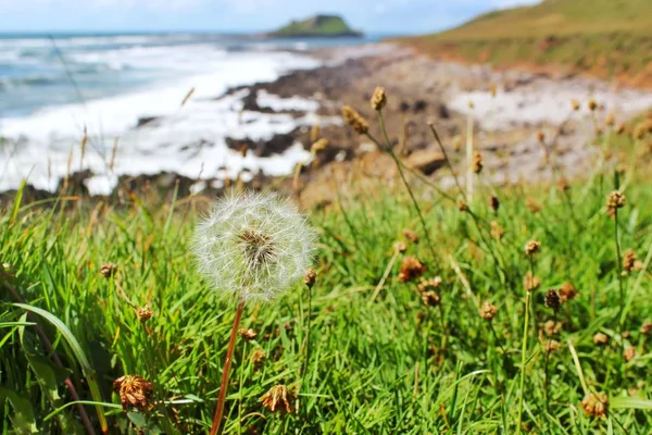 Prachtig Landschap Natuur Achtergrond — Stockfoto