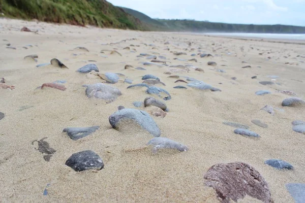 Empreintes Pas Sur Plage — Photo