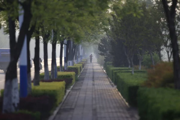 Hermoso Parque Ciudad — Foto de Stock