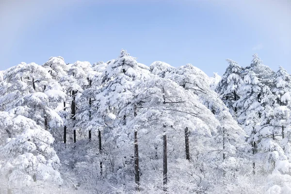 Beautiful snow scene of Huangshan scenery in southern Anhui province in eastern China.