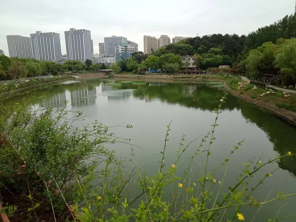 Vista Del Parque Ciudad Por Mañana — Foto de Stock