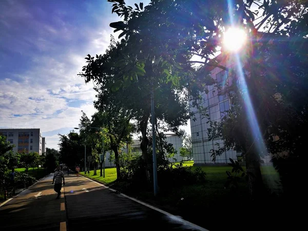 Parque Ciudad Por Mañana — Foto de Stock