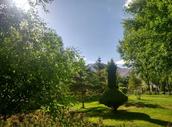 Hermosa Vista Los Árboles Parque — Foto de Stock