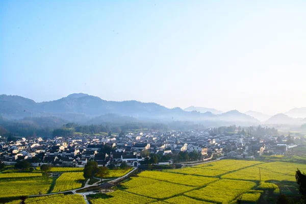 Paisaje Rural Con Arrozales — Foto de Stock