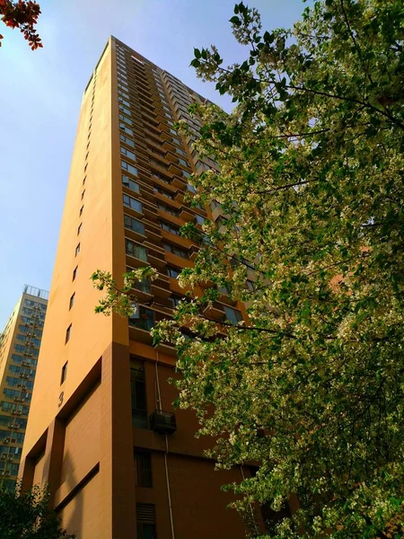 Edificio Moderno Ciudad — Foto de Stock