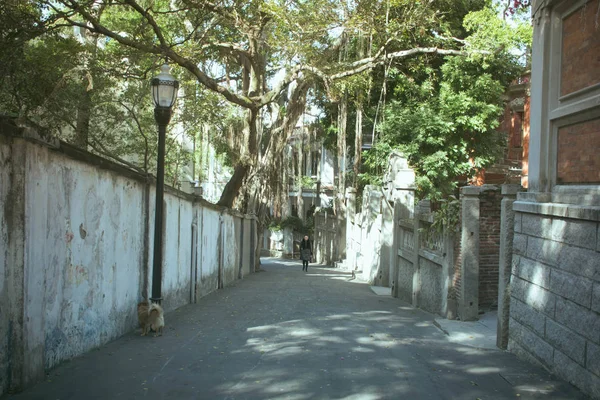 Ciudad Calle Foto Edificios Ciudad — Foto de Stock