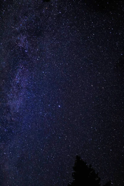 Αστρολογία Γαλακτώδης Τρόπος Γαλαξία Στο Νυχτερινό Ουρανό Αστέρια — Φωτογραφία Αρχείου