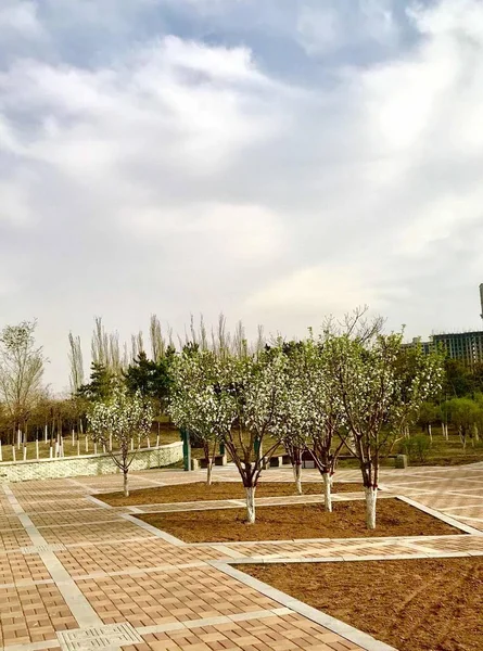 Ciudad Del Parque Mediterráneo Verano — Foto de Stock