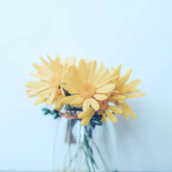 Flores Amarillas Sobre Fondo Azul — Foto de Stock