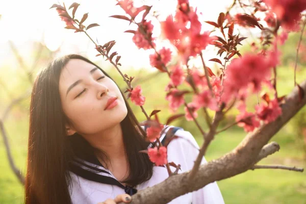 Gündüz Elma Ağacı Çiçekleri Bahçesinde Asyalı Kadın — Stok fotoğraf