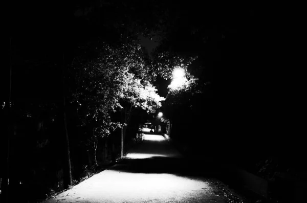 Foto Blanco Negro Una Hermosa Escena Nocturna Con Una Silueta — Foto de Stock