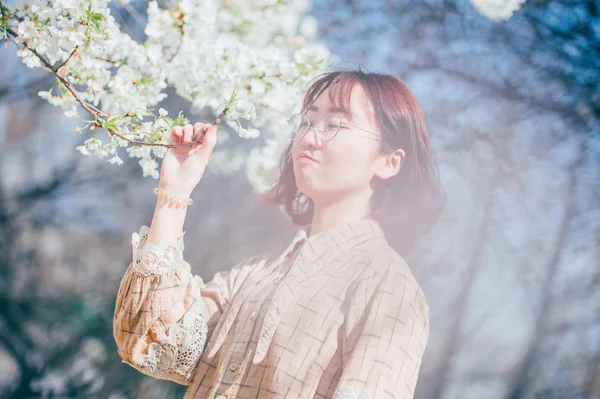 Aasian Tyttö Keväällä Puutarhassa — kuvapankkivalokuva