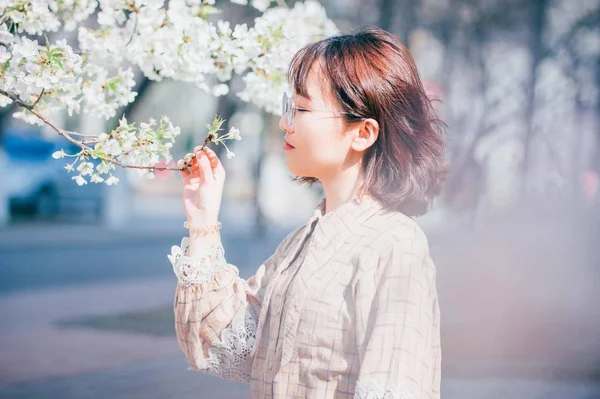 Houkutteleva Aasialainen Nainen Seisoo Kirsikankukkien Puutarhassa Keväällä — kuvapankkivalokuva