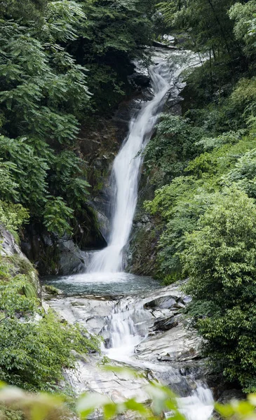 Hermosa Cascada Bosque — Foto de Stock