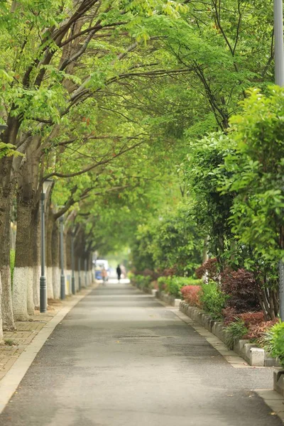 Hermoso Parque Ciudad — Foto de Stock