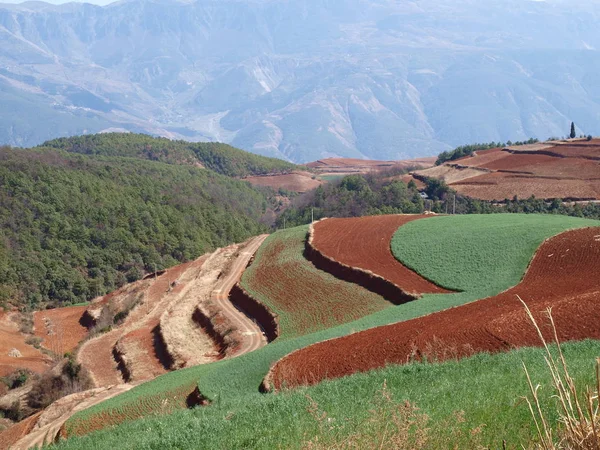 Vista Panorámica Del Hermoso Paisaje Montañoso — Foto de Stock