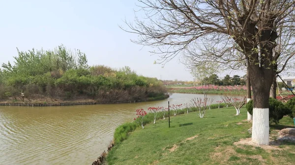 Estanque Parque — Foto de Stock