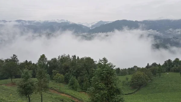 Paisaje Montaña Con Nubes Árboles — Foto de Stock