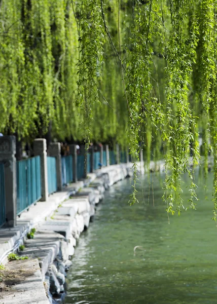 Hermoso Parque Ciudad — Foto de Stock