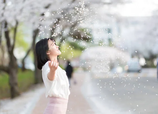 portrait of asian woman in Cherry Blossom garden in spring