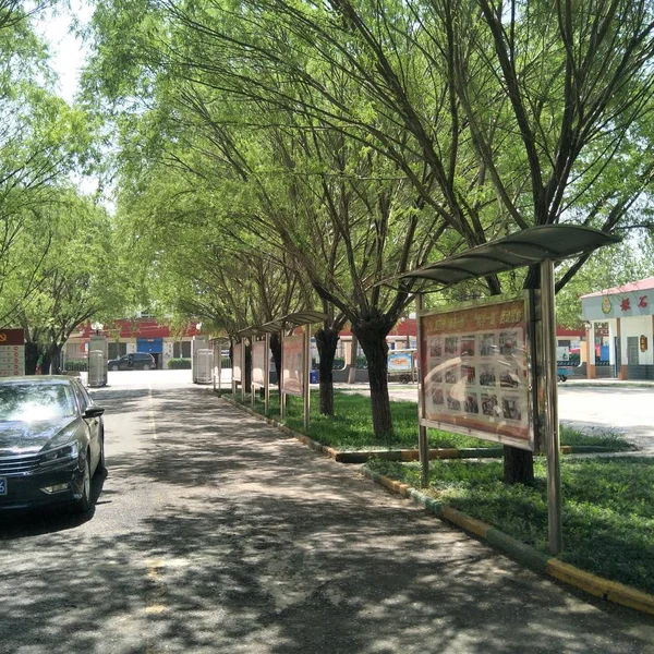 Ciudad Del Parque Los Países Bajos — Foto de Stock