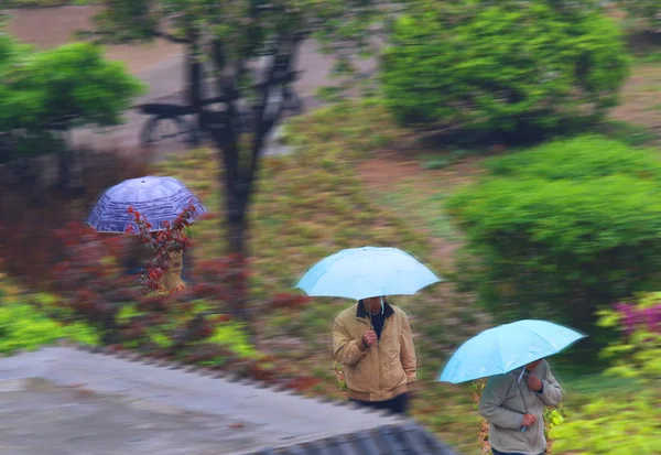 Mujer Joven Con Paraguas Lluvia — Foto de Stock