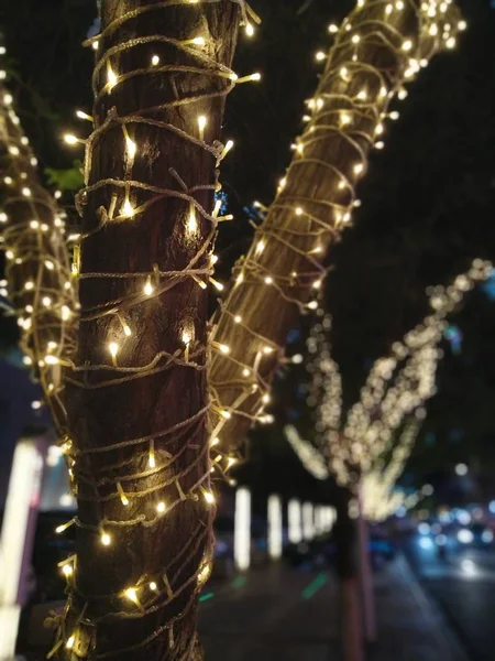 Decoración Navidad Con Luces Guirnalda — Foto de Stock