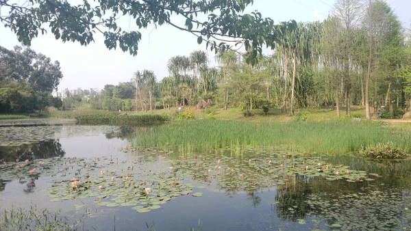 Paisaje Del Río Parque — Foto de Stock