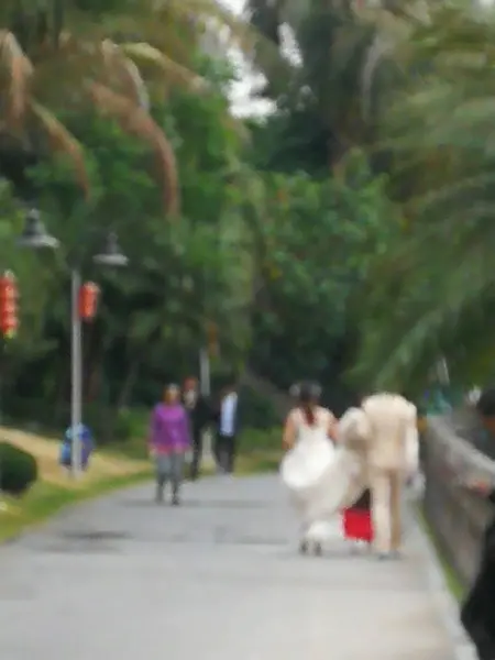 stock image wedding couple walking in the park