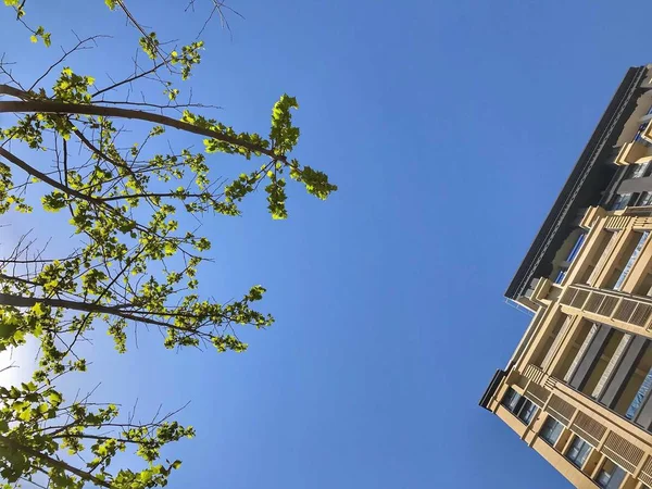 Antiguo Edificio Ciudad Barcelona — Foto de Stock