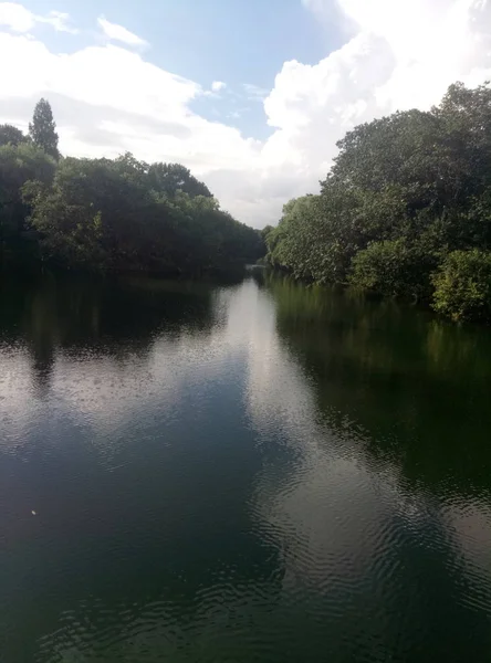 Río Rural Vista Naturaleza — Foto de Stock