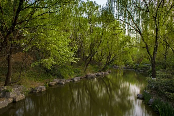 Río Rural Vista Naturaleza — Foto de Stock