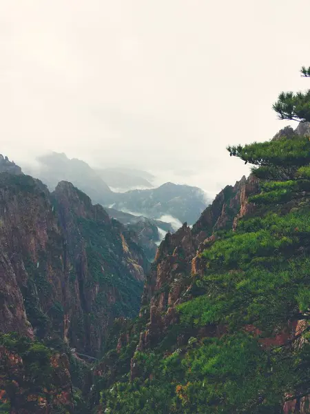 코카서스 산맥의 아름다운 — 스톡 사진