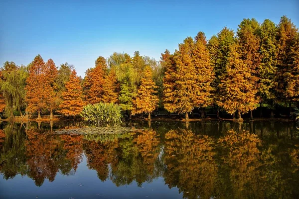 秋天的风景 有一个湖在秋天 — 图库照片
