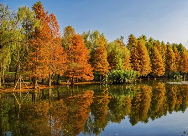 Paesaggio Autunnale Con Lago Autunno — Foto Stock