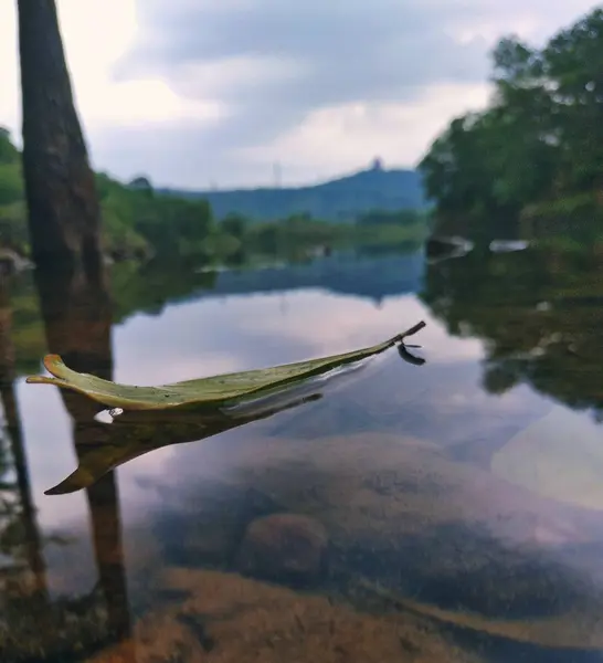 Lago Con Río Agua — Foto de Stock