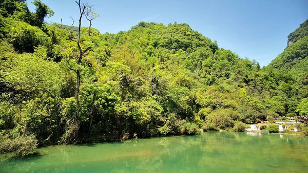 Hermosos Árboles Verdes Parque — Foto de Stock