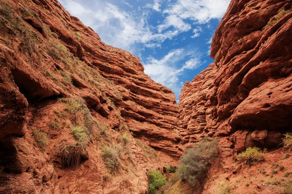 Rote Felsformationen Zion Nationalpark Utah — Stockfoto